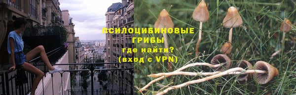 шишки Абинск