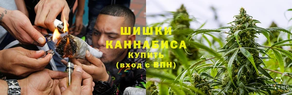 шишки Абинск